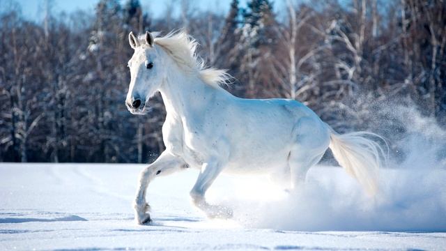 СУДЬБА👍(Э.Хуснутдинов)👍ХОРОШАЯ ПЕСНЯ!!!👍👍👍
