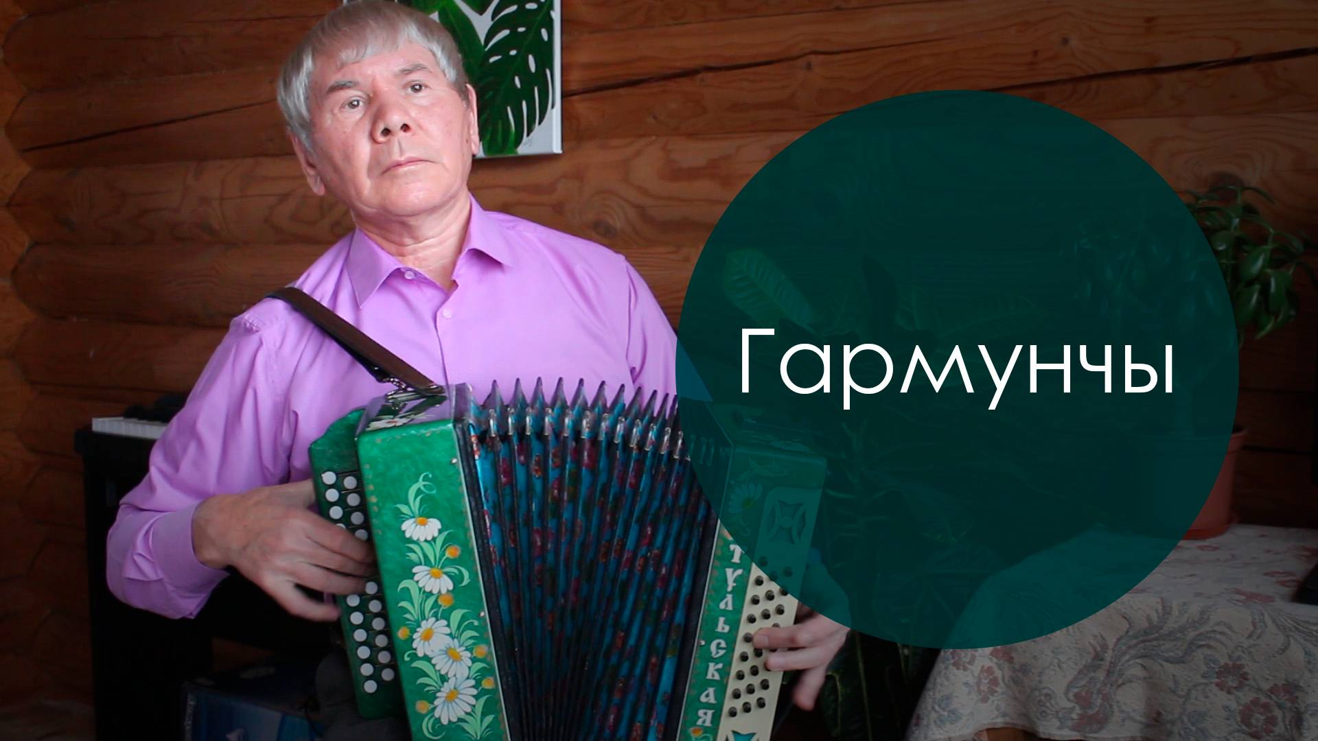 Гармунчы. Бәхти Гайсин көе, Кадыйр Даян сүзләре. Жырнын сузлэре видео астында.