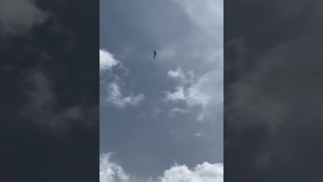 Наш Су-57 на авиашоу в Китае.