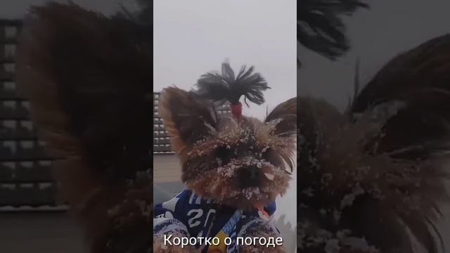 Лионелла!Коротко о погоде.