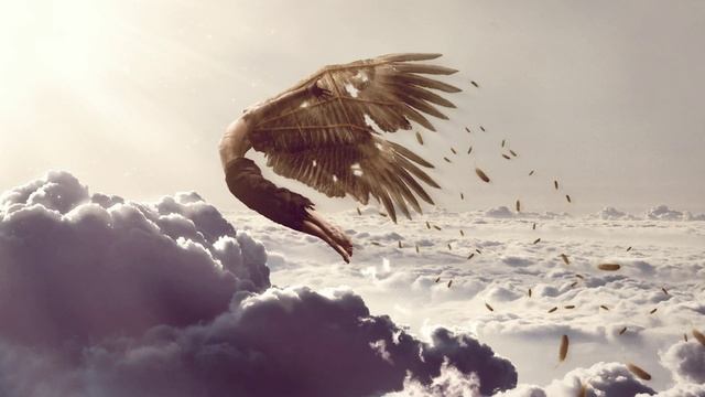 Лететь к мечте