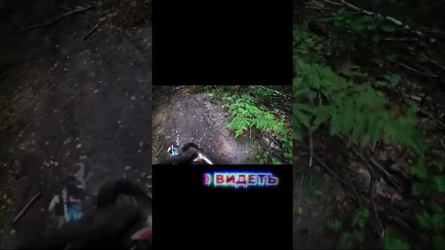 Вам же надо приключения #shorts #regulmoto #moto #эндуро