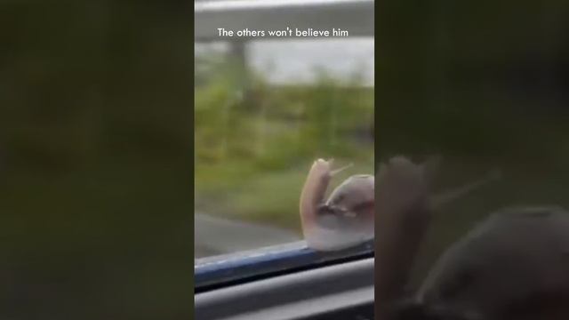 Memes From Internet Part 306