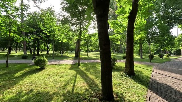 прогулки по центру Ташкента. июнь 2024