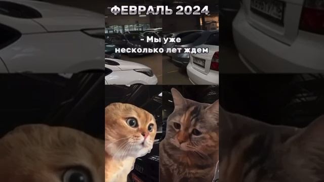 AUTORITY KOREA привозит автомобили по февральским ценам наш канал https://t.me/Autority_Koreya02rus