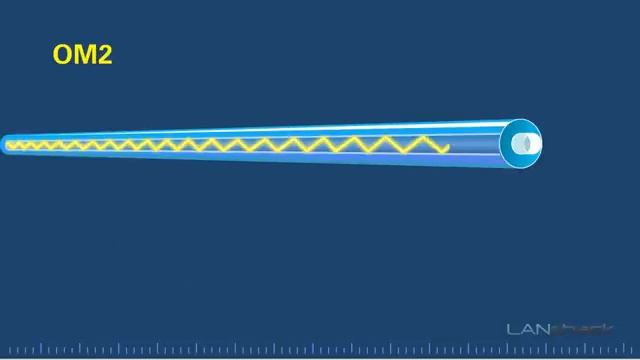 Fiber Type Versus Speed and Distance