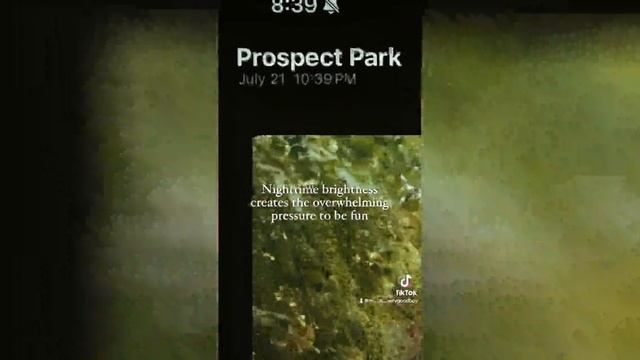 Best video of Tik Tok! 11.11.24 / 11