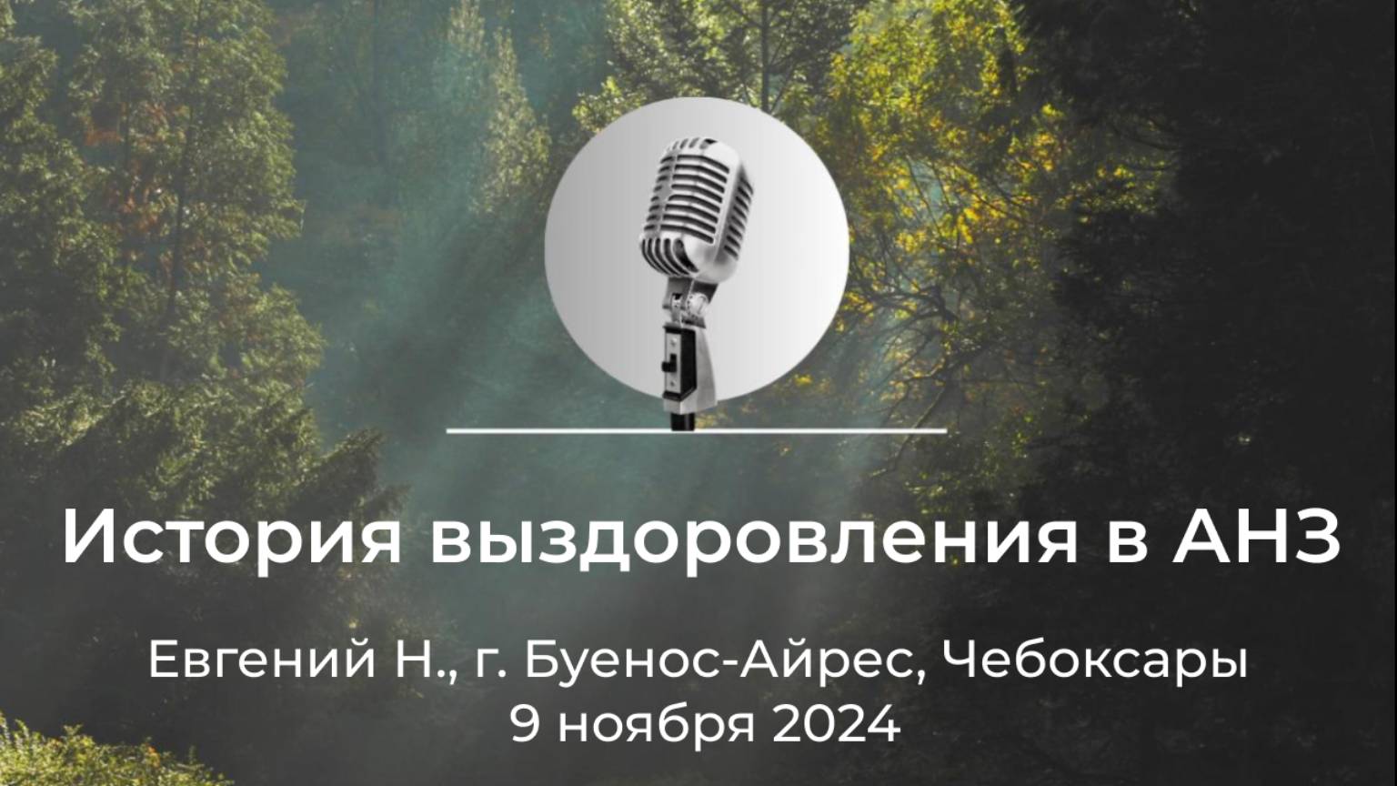 Спикерская АНЗ "История выздоровления в АНЗ" Евгений Н., г. Буенос-Айрес, Чебоксары, 9 ноября 2024