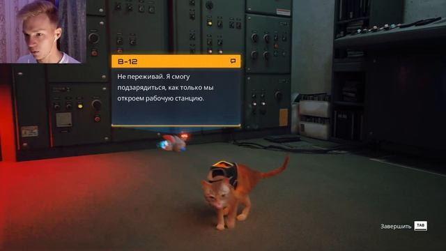 КОШАЧИЙ ФИНАЛ ✖ STRAY #8