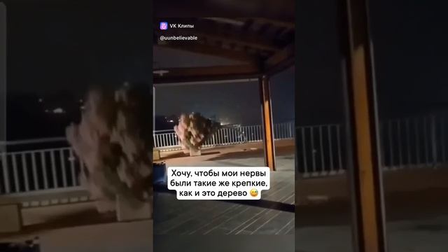 Хочу такие нервы