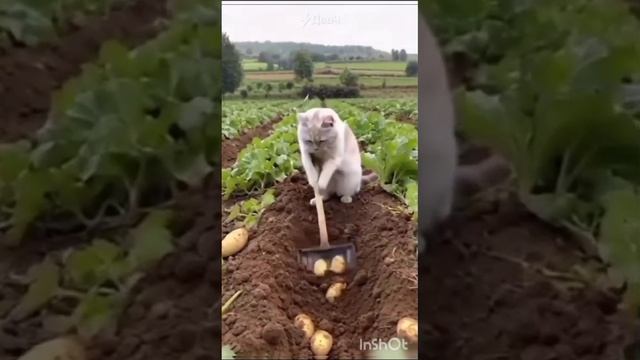 1000014328.mp4