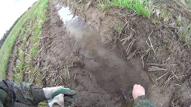 Копаем распаханные деревни! Царские и советские монеты! Вологодская губерния, Грязовецкий уезд.