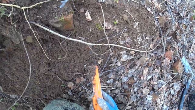 Поднял царское серебро и позолоченные пуговицы! Весна 2024. Архивное видео. #35metalloff