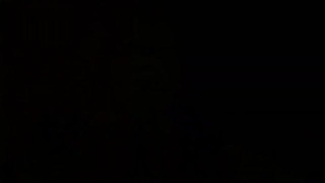 Тогда я буду отвлекать собаку, ты можешь просто постоять потому что никто не прибегает.