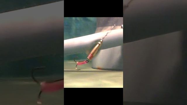вертушка с плавником🎣🐟