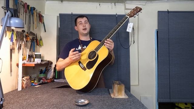 Tokai Cat's Eyes CE-200 , обзор гитары