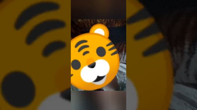 Показать лицо тогда набираем 15 подписчиков