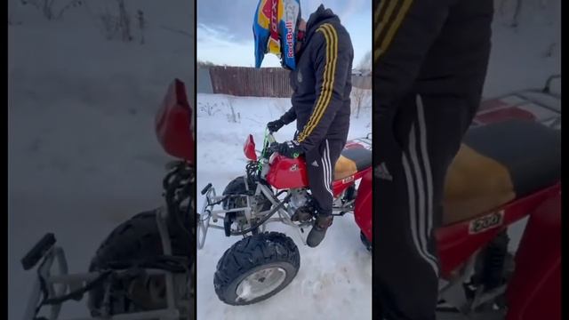 Квадроцикл Зид Тарпан 300 кубов Первый выезд #shortsyoutube