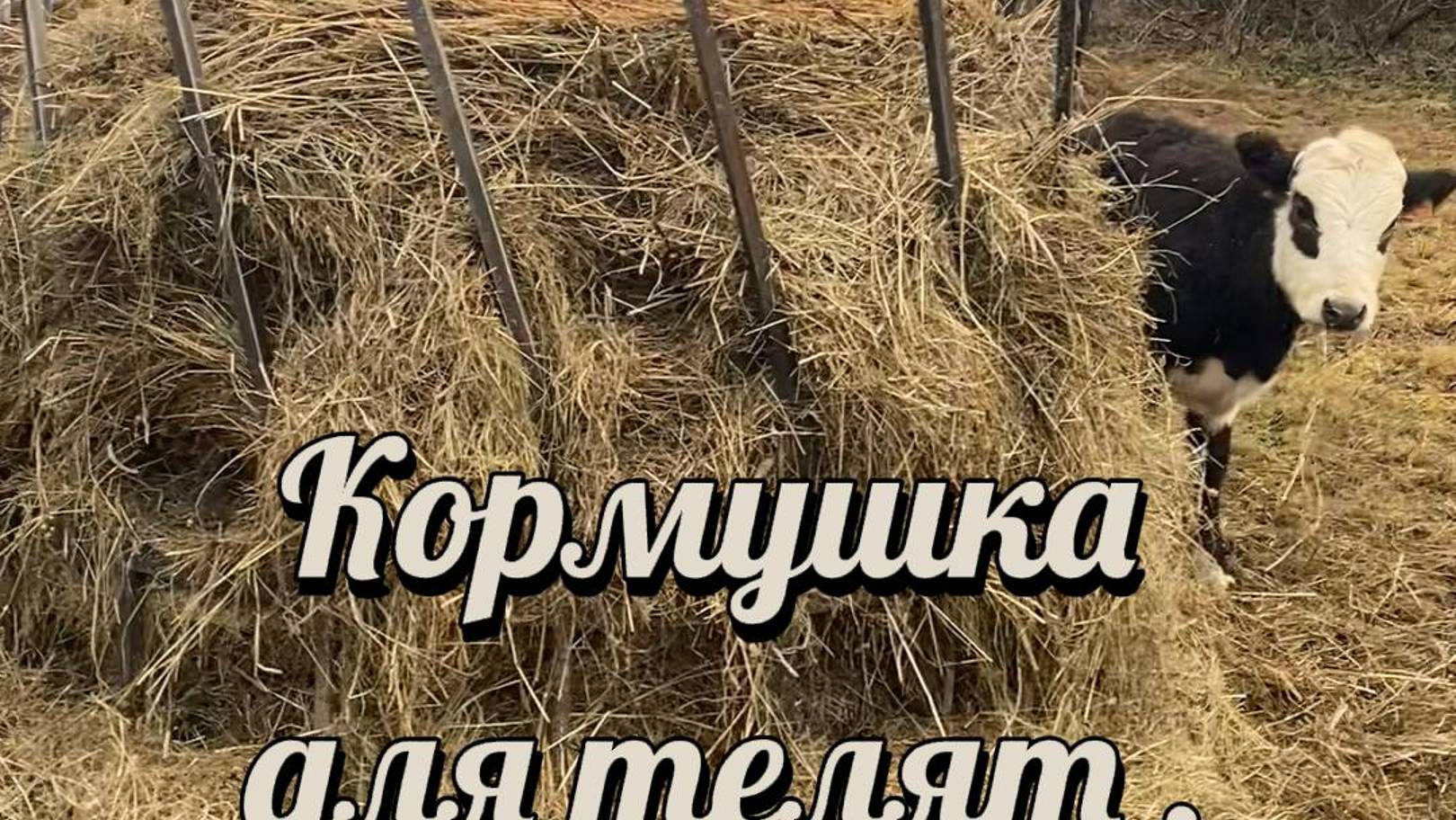 Кормушка для телят . какая лучше покупная или самодельная