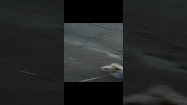 1000013179.mp4