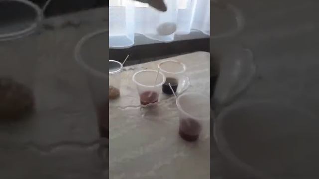 Бурятская национальная кухня. Буузы.