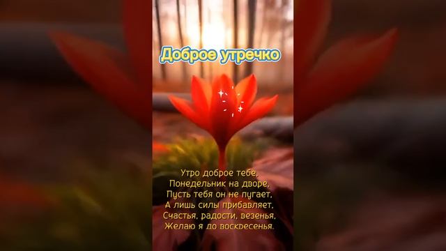 Доброе утречко🌞11-11-2024