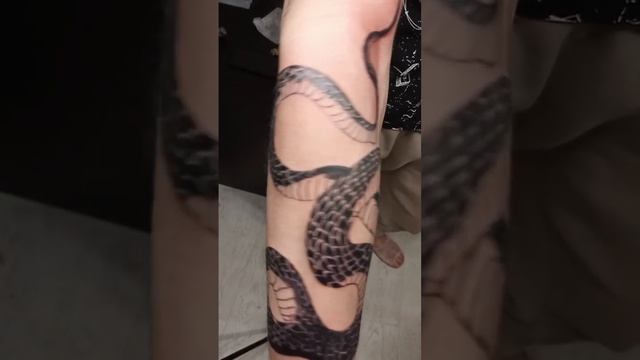 1000029372.mp4