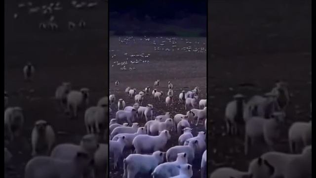 Вот так и понял♂️