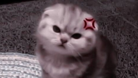 Моё первое видео (монтировала сама)