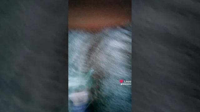 1000065674.mp4