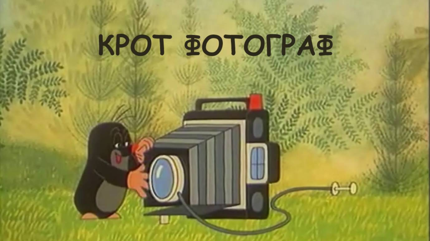 Крот фотограф