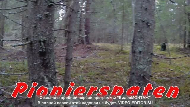 Ноябрьский коп