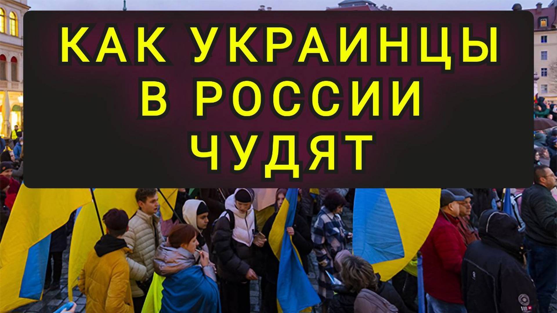 КАК УКРАИНСКИЕ БЕЖЕНЦЫ В РОССИИ ЧУДЯТ !!