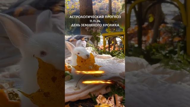 Астрологический прогноз