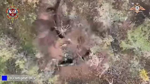 Спецназ охотится на хрякопехоту.