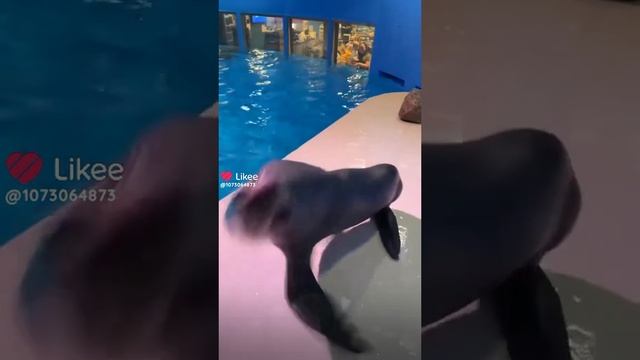 злобный мальчик