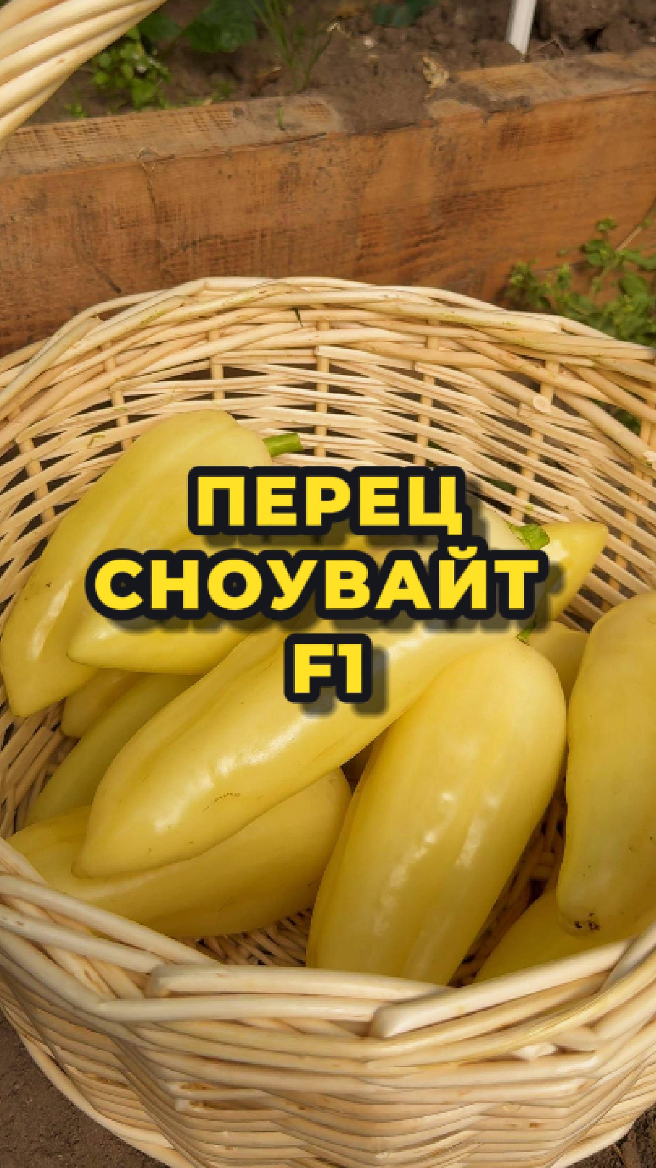 Перец Сноувайт F1