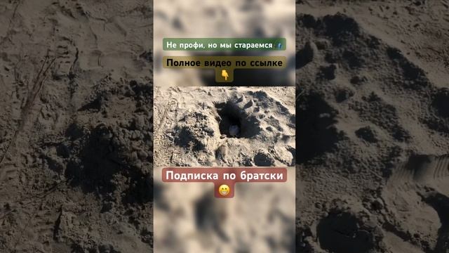 Рыбалка удалась✌️