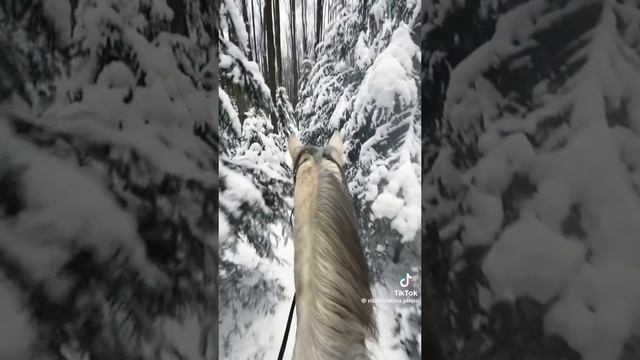 зимняя красота.mp4