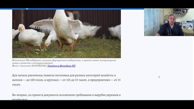 Ветеринарные новости про птиц. Выпуск 12-й.Закон о содержании и выгуле домашней птицы.