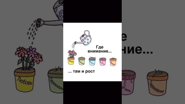 Как справиться со сложностями в жизни