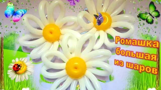 Ромашки из шаров. Как сделать. Мастер класс. Balloon daisies. Balloons. DIY. Hand made. How make