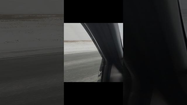 снег