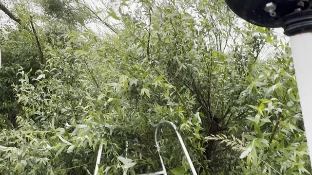 Рыбалка с катера в ураган