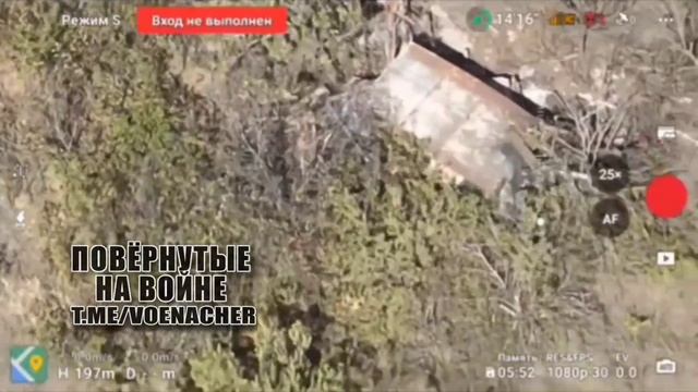 Сокращение поголовья боевых пятачков