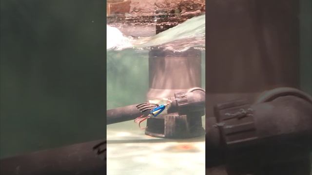 проверка вертушки на стенде🎣🐟