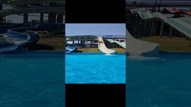 VID_20240810_121834.mp4