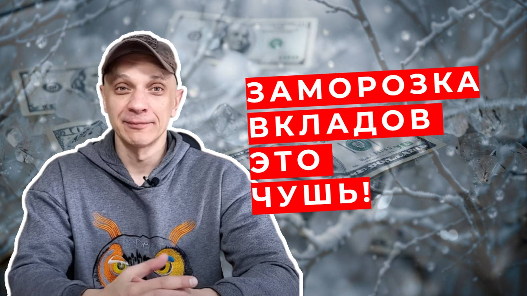 Роман Андреев - заморозка вкладов это чушь!