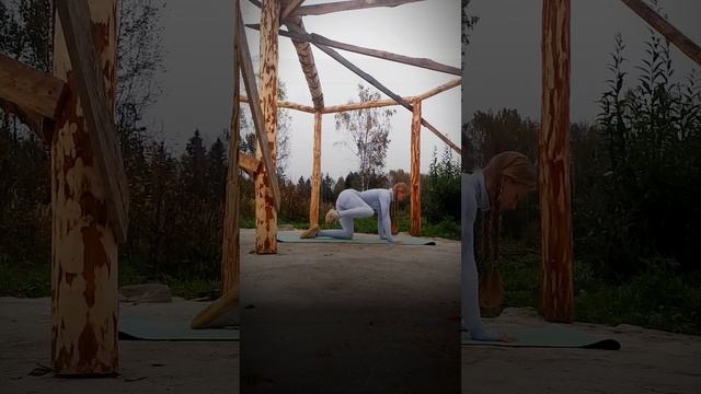 Моя тренировка