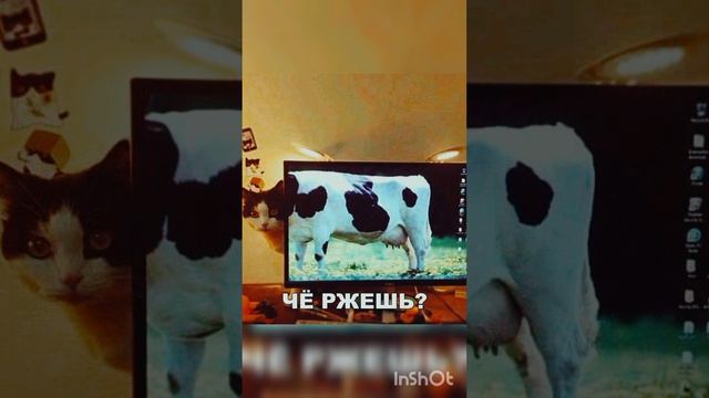 Шутки